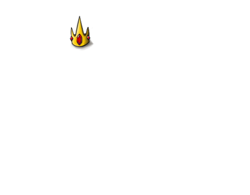 IMG 1296.png