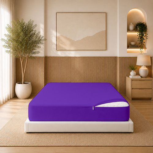 Purple (8).jpg