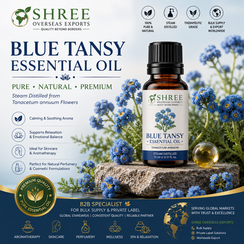 Organic Blue Tansy Essential Oil Wholesale A Complete B2B Buying Guide.png