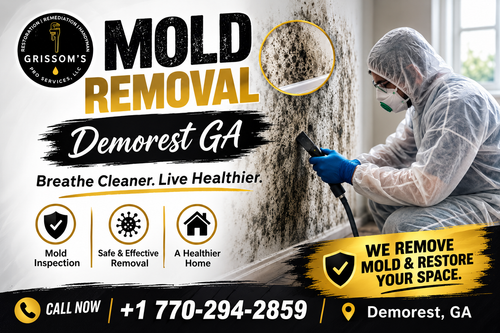 Mold Removal Demorest GA.png