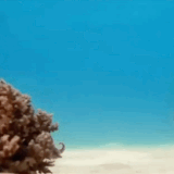 据说这货是外星人遗留在地球的监测机器人.gif