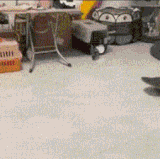 打的过来削你.gif