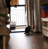 K6u2yRkOdxgHoY9.gif