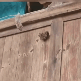 撒旦：我是你的粉丝.gif