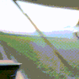 拖拉姬.gif
