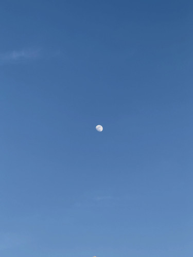 765854997 18333313795277899 4909362506297013792 n.jpg