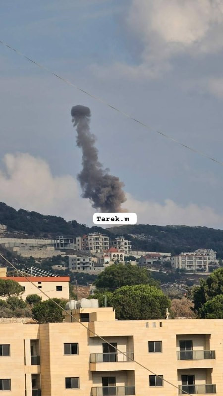 صورة الخبر