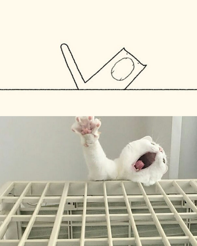 2 images (2).png