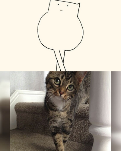 2 images (5).png