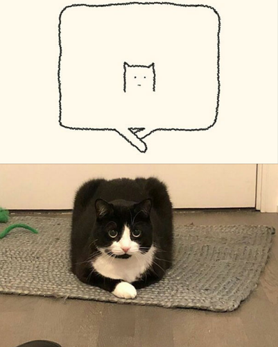 2 images (8).png