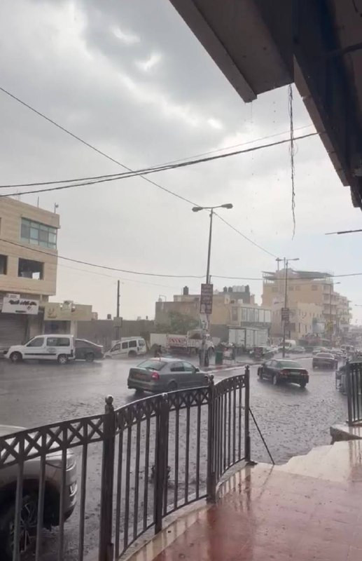 صورة الخبر