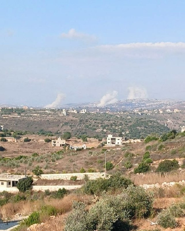 صورة الخبر