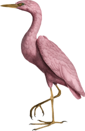 Ciiq3EN.png
