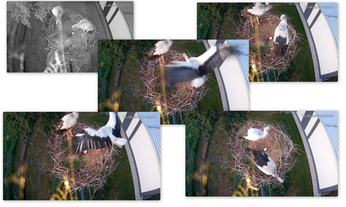 Bilder5.jpg