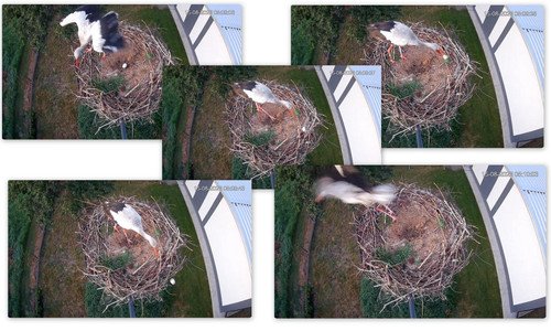Bilder7.jpg