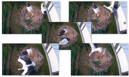 Bilder6.jpg