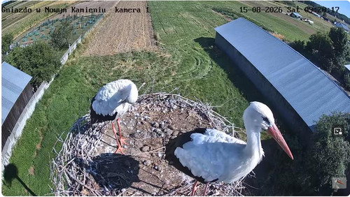 MWSnap210.jpg