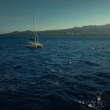 Dolphins.Up.Close.with.Bertie.Gregory.2025.2160p.DSNP.WEB DL.CZ EN.DD+5.1.DoVi.HDR.x265 My.mkv 20260