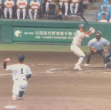 IMG 8024.gif