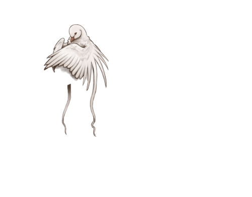 IMG 1298.png