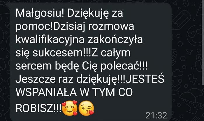 Opinia 2 - Opis i analiza bez lania wody