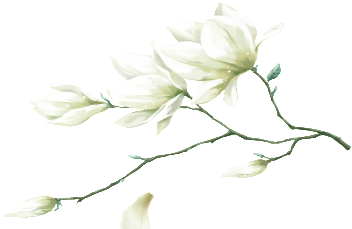 retouch 2026081423152550.png