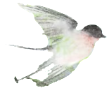 retouch 2026081423165452.png