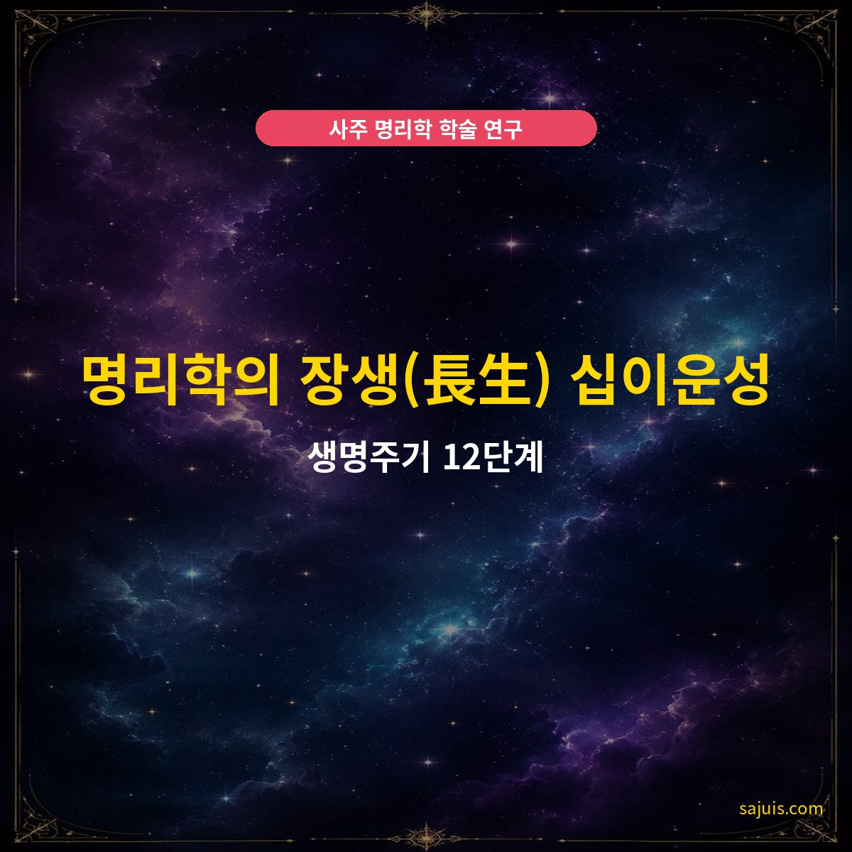 명리학의 장생(長生) 십이운성 — 생명주기 12단계