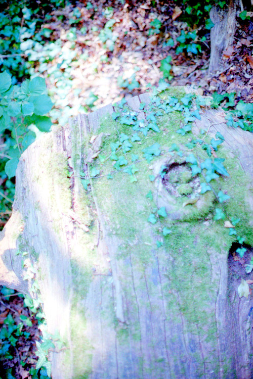 7b.jpg