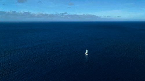 Dolphins.Up.Close.with.Bertie.Gregory.2025.1080p.NF.WEB DL.CZ EN.DD+5.1.DoVi.HDR.x265 My.mkv 2026081.jpg