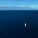 Dolphins.Up.Close.with.Bertie.Gregory.2025.1080p.NF.WEB DL.CZ EN.DD+5.1.DoVi.HDR.x265 My.mkv 2026081