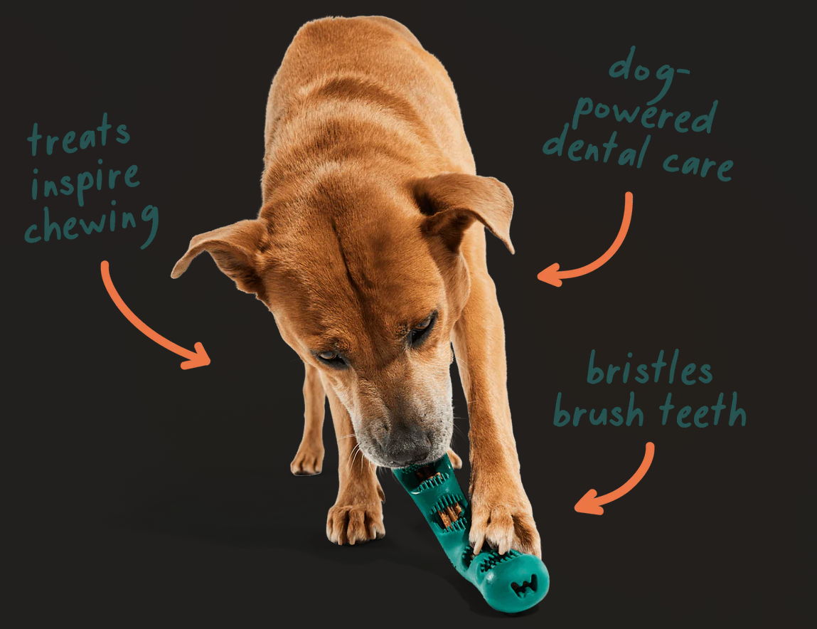 Exploring MyWoof: Functional Dog Treats and Supplements for Everyday Wellness
