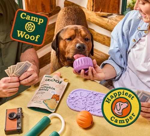 Woof Camp 2026 Marketing Banner Desktop 750x680 2x.jpg