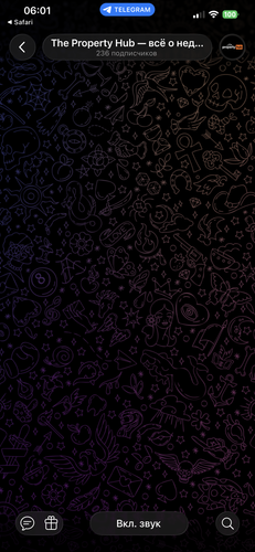 IMG 6097.png