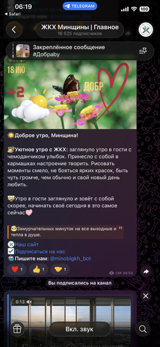 IMG 6113.png