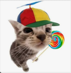 2026 07 17 22 46 18 cat with lollipop and propeller hat Google Search.png
