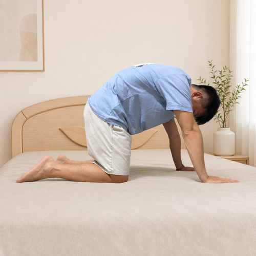 action 1 貓牛式脊椎活動.png