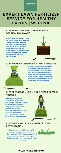Expert Lawn Fertilizer Service for Healthy Lawns | Weedsie.jpg