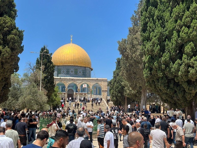 صورة الخبر
