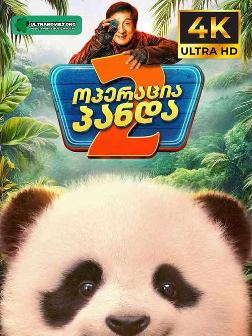panda plan 2.jpg