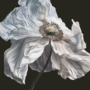4fdd42bd83f7.png