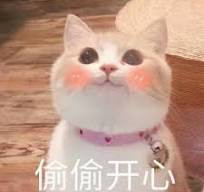 6ab9e68e 6f6c 416d b3bc a62a1d350349.jpg