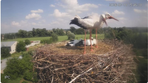MWSnap664.jpg