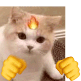 c9121726 ae6d 4327 bc03 3d04e74ad6cf.gif