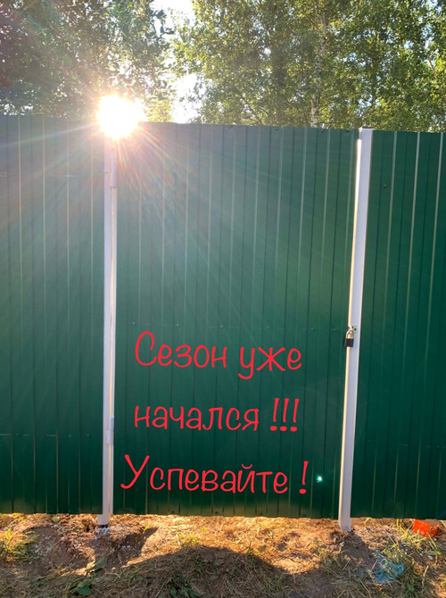 IMG 6376.jpg