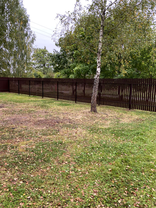 IMG 3597.jpg