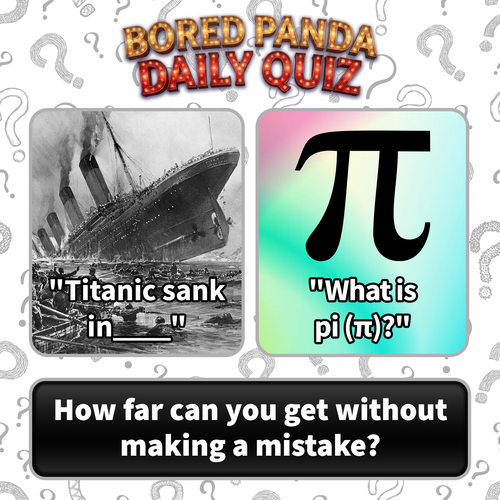 image (11).png
