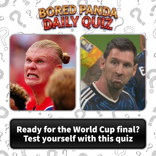 image (10).png