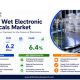 Wet Electronic Chemicals Market