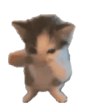 1000867367.gif